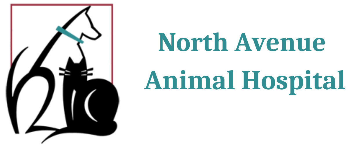 North Avenue Animal Hospital