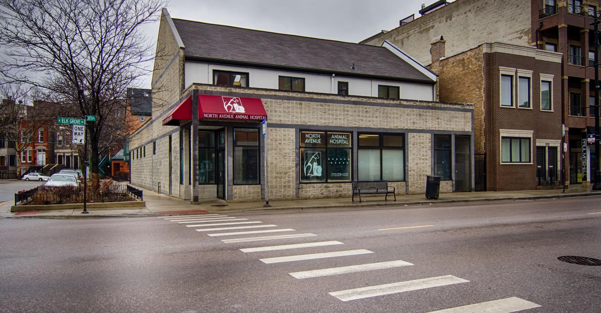 Chicago IL Veterinary Reviews North Avenue Animal Hospital