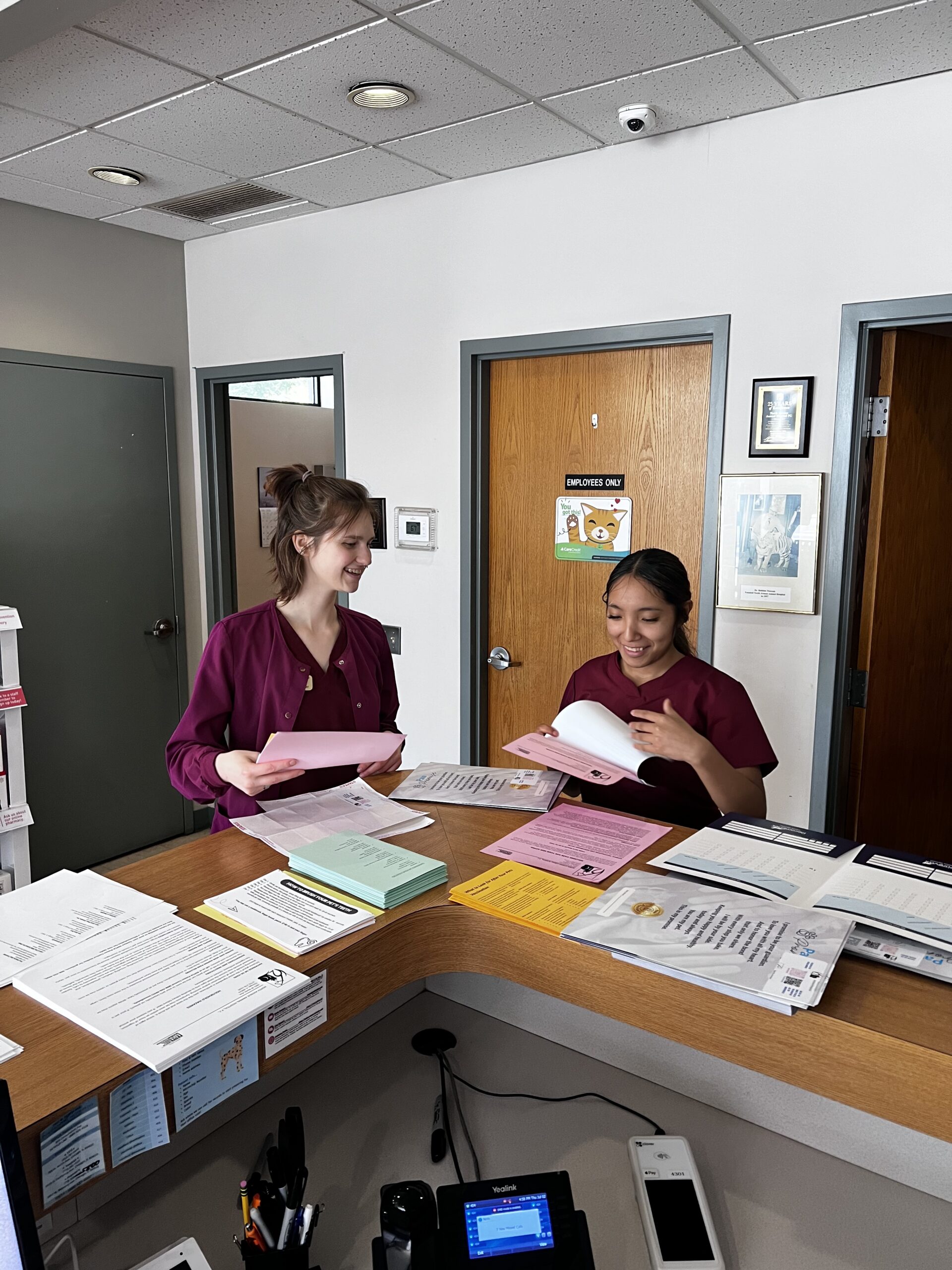 North Avenue Animal Hospital - photo gallery