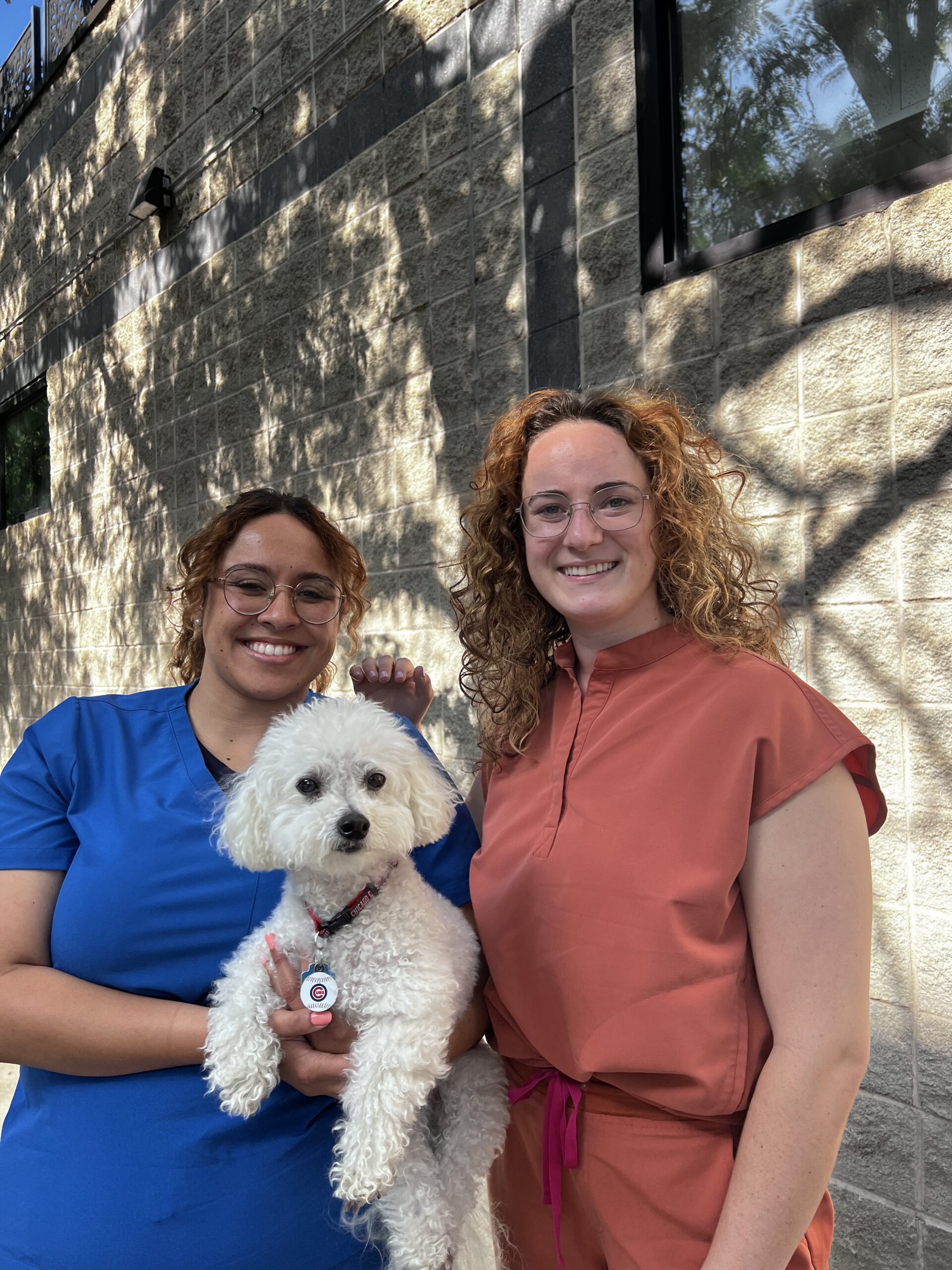 North Avenue Animal Hospital - photo gallery