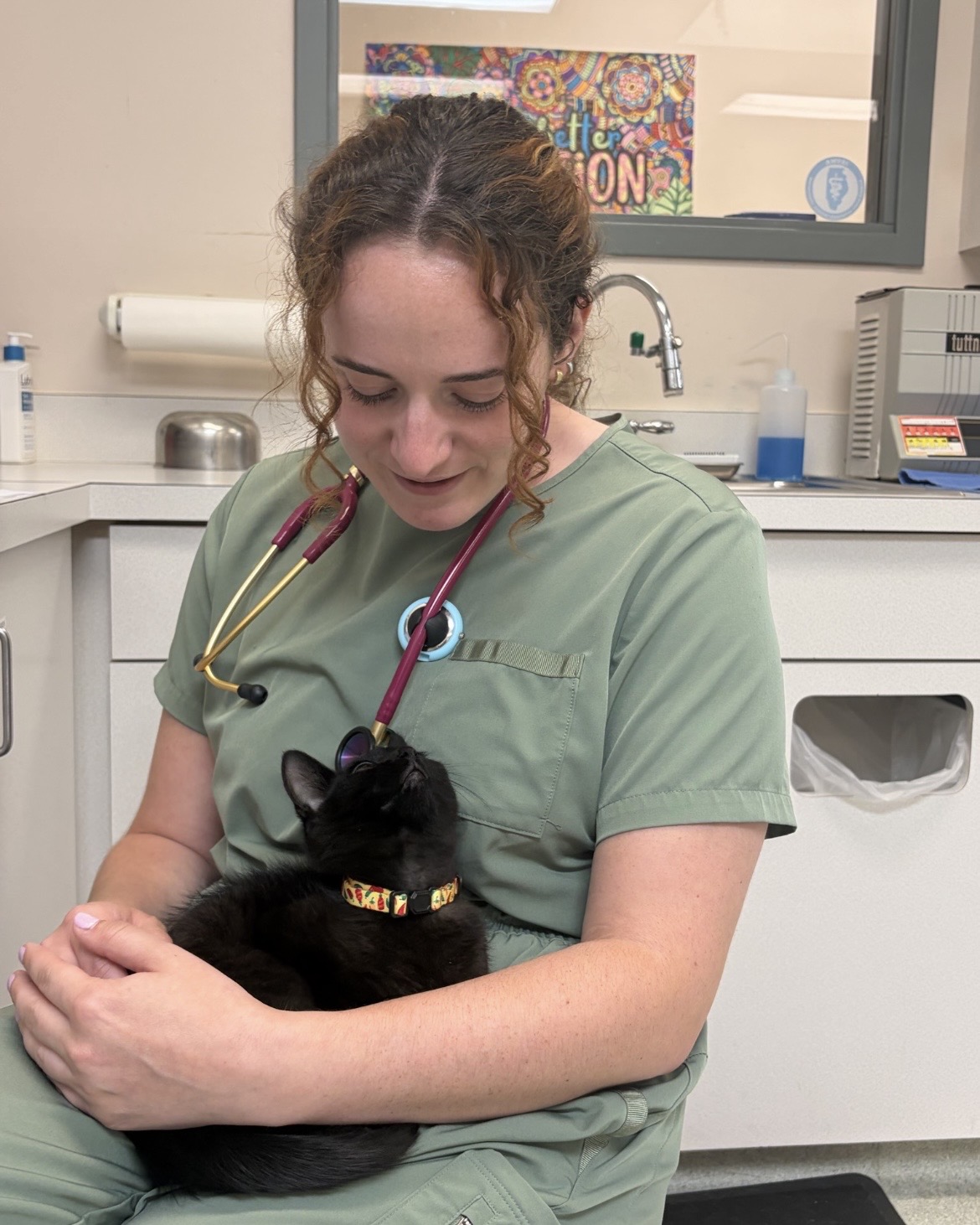 North Avenue Animal Hospital - photo gallery